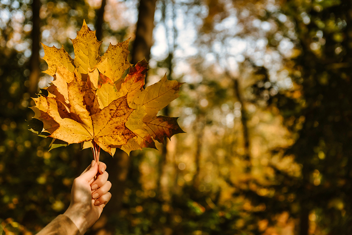 Herfstdecoratie