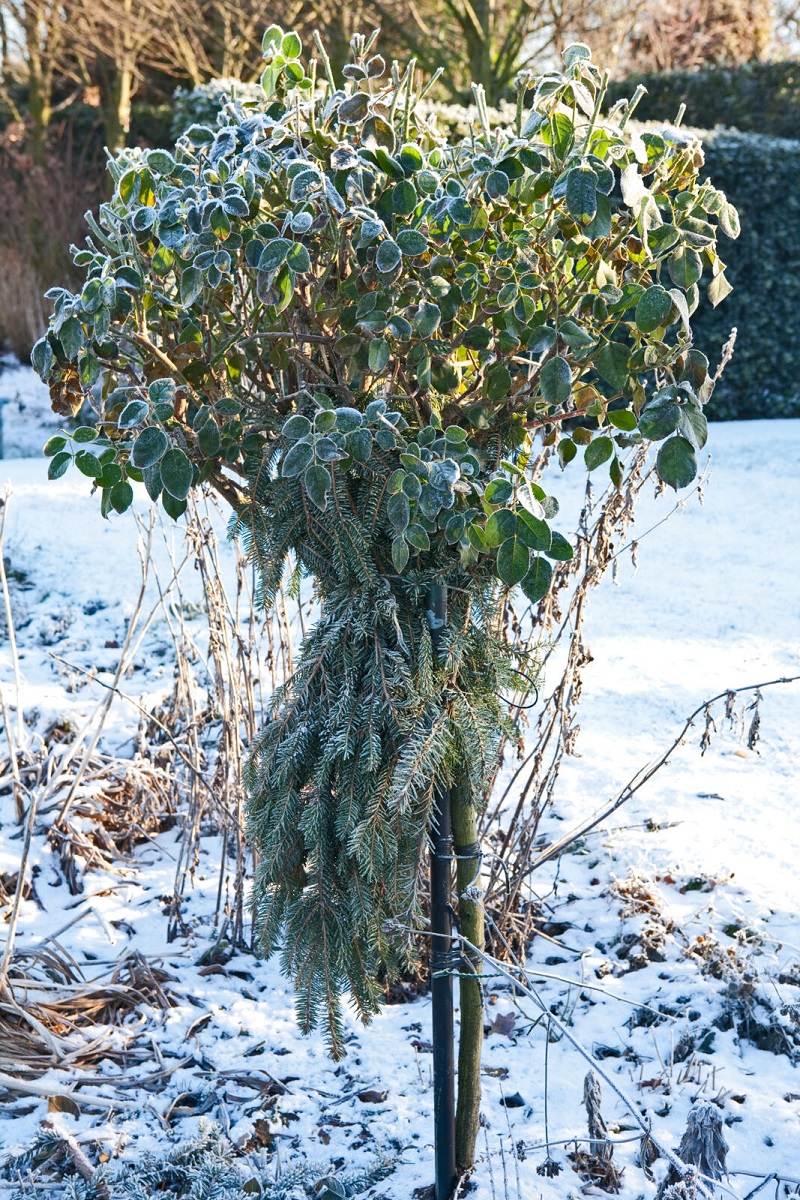 De Tuin Winterklaar, Zo Doe Je Dat - Seasons