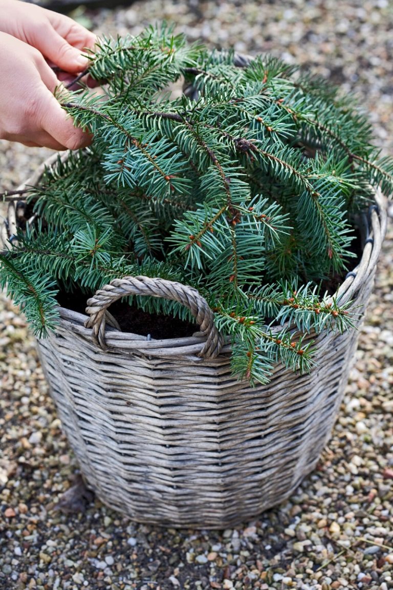 De Tuin Winterklaar Zo Doe Je Dat Seasons