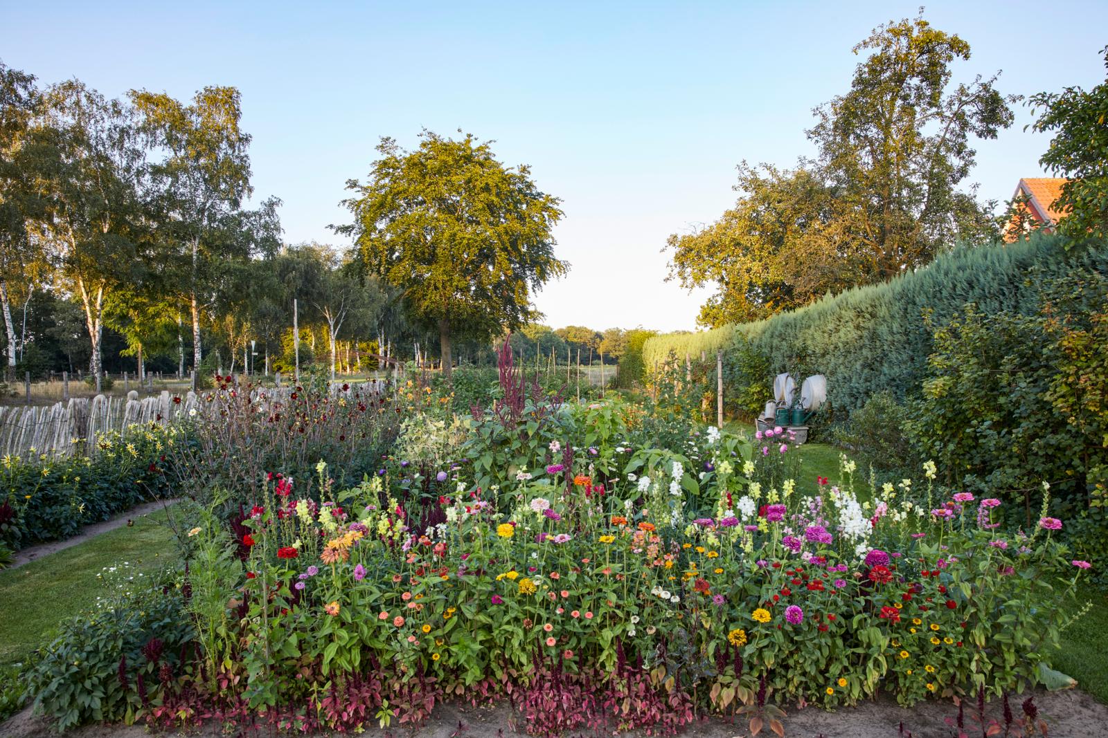 bloemen pluktuin