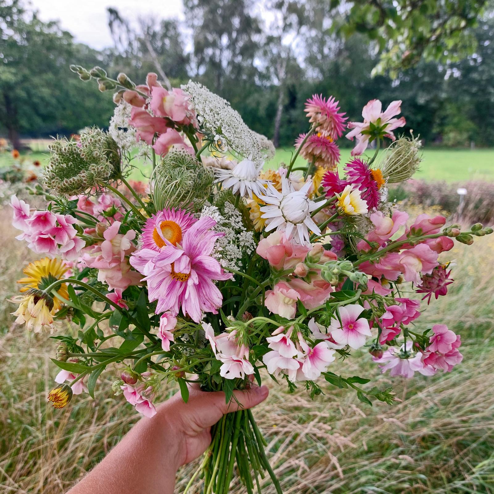 wilde bloemen zaaien