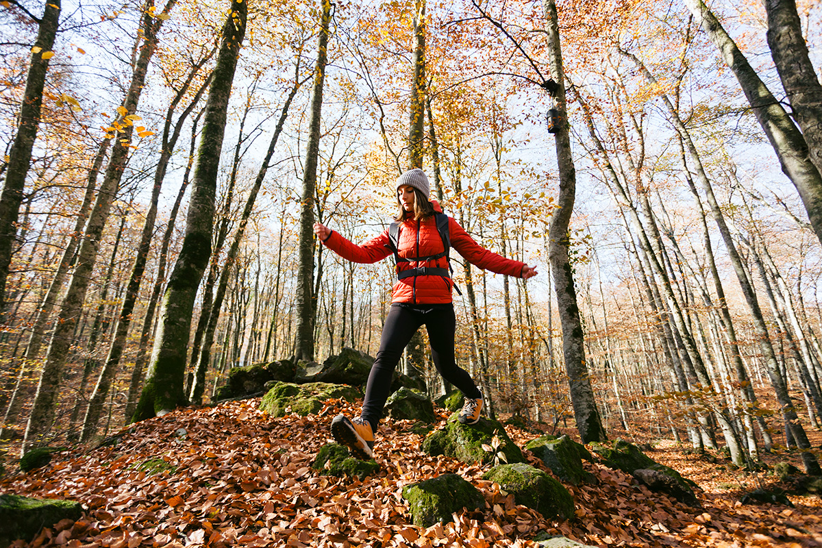 Herfstwandelingen